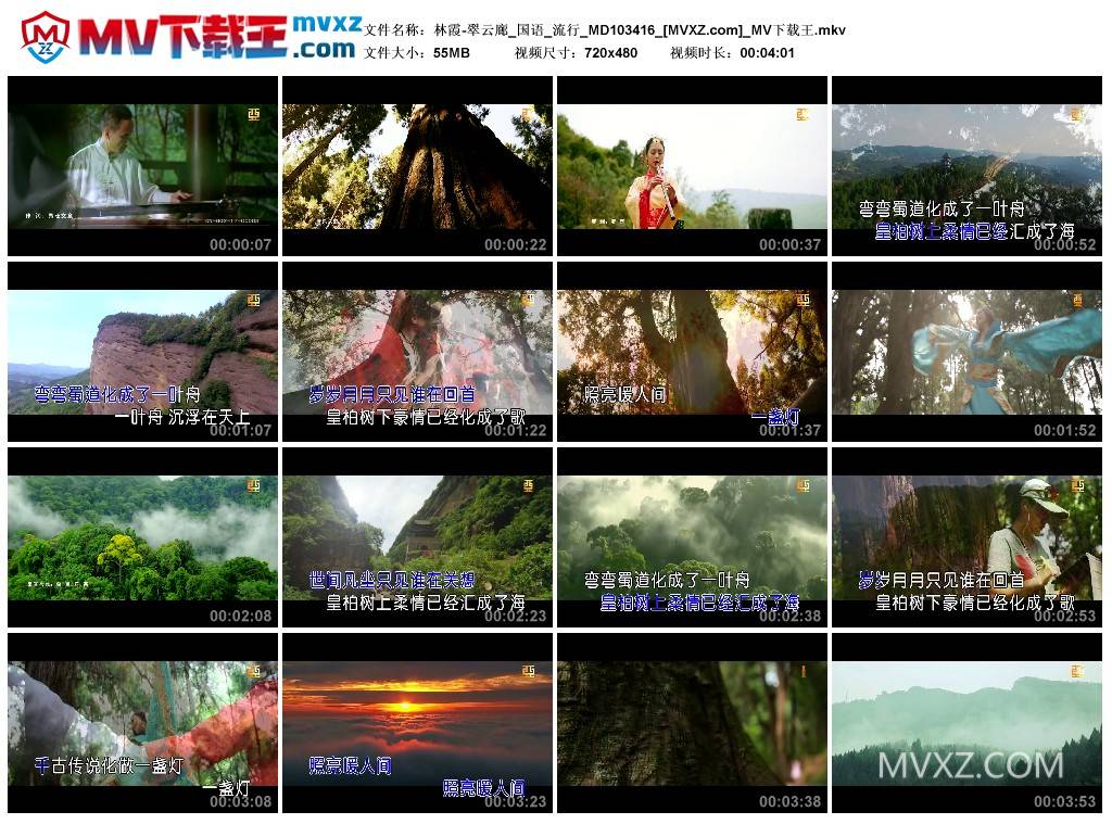 林霞-翠云廊_国语_流行_MD103416